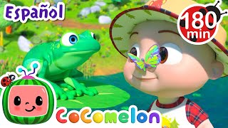 En el estanque | CoComelon y los animales 🍉| Dibujos para niños by CoComelon y Animales - Canciones infantiles 49,427 views 1 month ago 3 hours