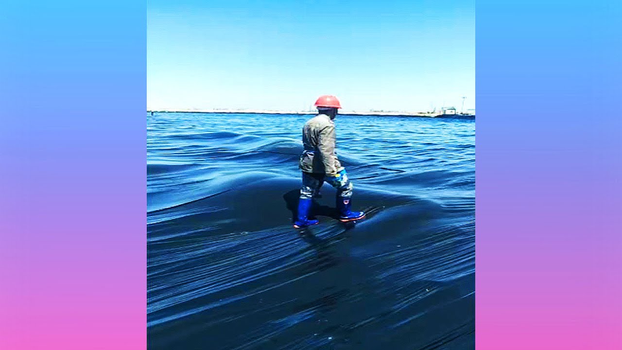 Oddly Satisfying Video & Relaxing Music to Help You Feel Calm - YouTube