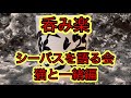 シーバス釣りを語るライブ【呑み楽】