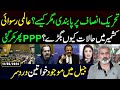 Tehreek-e-Insaf Banned, But How? | Latest Updates | Imran Riaz Khan VLOG