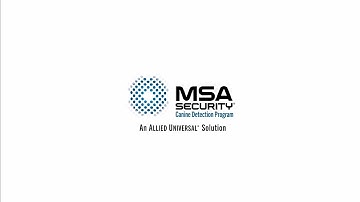 Allied Universal® MSA Security® Canine Detection Program