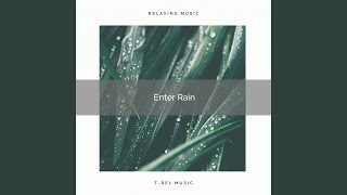 Music of the Sea of Hard Raindrops pt. 2