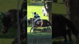 This Jump Was So Fun