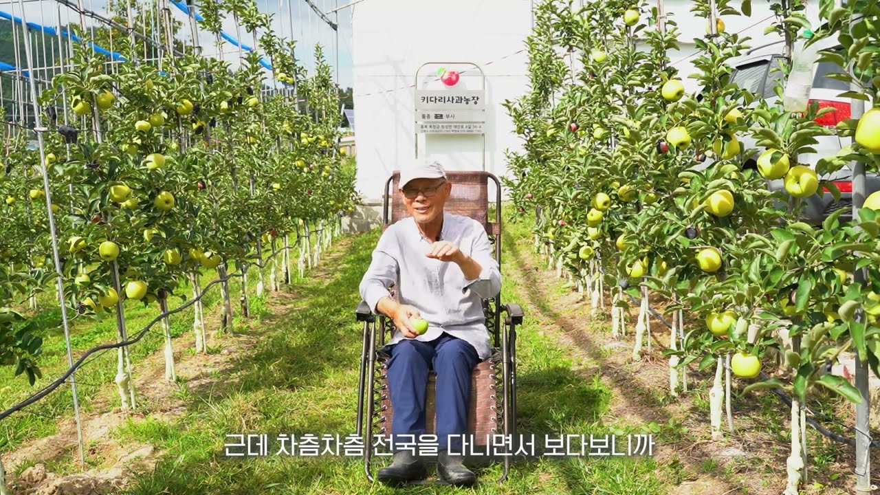 기후위기와 옥천의 얼굴들_사과 농가