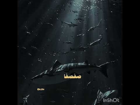 عالم الفيك اكسبلور يع  ايقنت قران كريم ياجوج اللهم صل وسلم على نبينا محمد