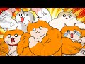 マラカスハム参上【アニメ】