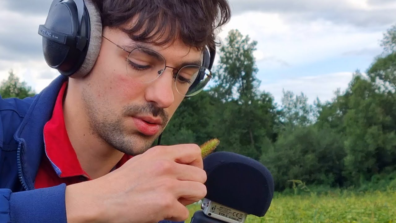 ASMR dans la nature en Pologne 🌲
