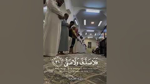 كلا إذا بلغت التراقي ( 26 ) وقيل من راق ( 27 ) القارئ خالد الروكان