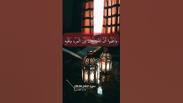 سورة الانفال الاية 24-25