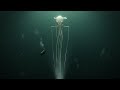 The Deeper You Go, the Scarier Creatures Become - But Why?