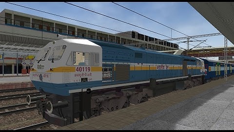 msts western bay 2016