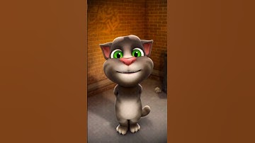 My Talking Tom Friends ( iOS,Android ) Gameplay 🎮 #tom2