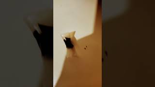 Shotgun Blowdart Is Lethal