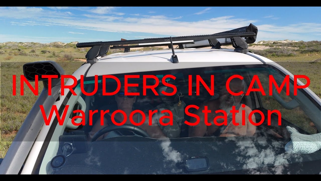 Intruders in camp, Warroora