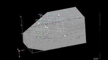 Three dimensional seisemic data