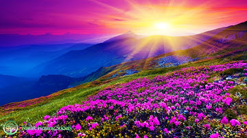 THE BEST GOOD MORNING MUSIC 💖 528HZ Increase Positive Energy - Healing Meditation Yoga Focus Music