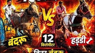 Horse ress बन्दरू नकुड़ vs हड्डी जगाधरी विनर बंदरू नकुड़ 