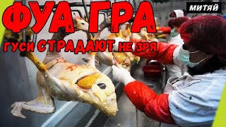 картинка: Фуа гра. Неоправданная жестокость или дар всему человечеству?