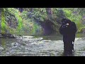 bluisdead - stresslikeeverest Official Music Video (prod. Suzukki)