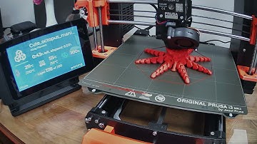 Octolapse test 2