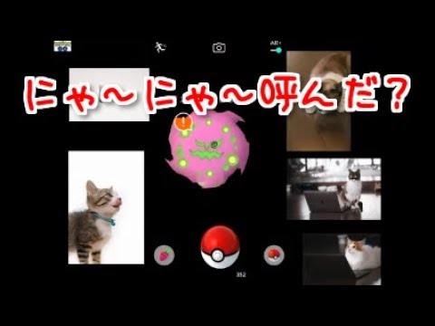 【ポケモンＧＯ】ミカゲルは猫をよんでいた！