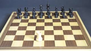 How Chess Pieces Move