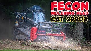 Fecon BackHawk Mulching Head | CAT 299D3 | Forestry Mulching