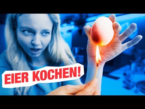 Das PERFEKTE Frühstück