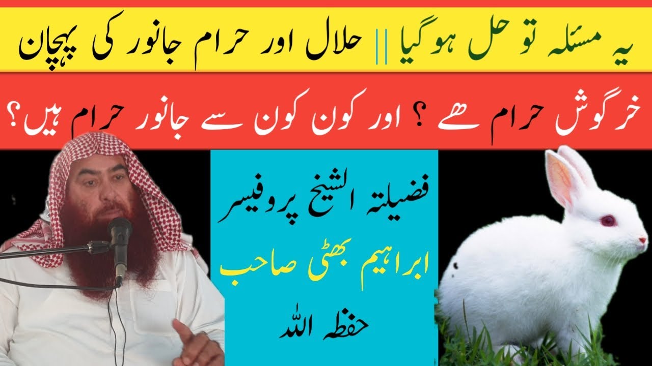 Khargosh Haraam Hai ? || Shaikh Ibrahim Bhatti Sahab