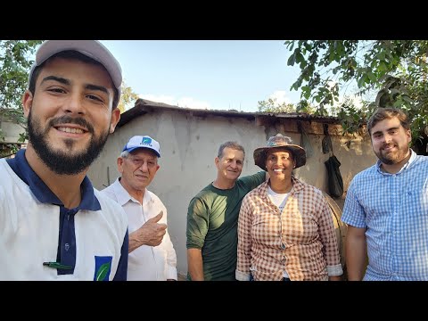 Capiaçu com Suporte Técnico da Emater: Benefícios Econômicos e Nutritivo na Alimentação Suína?