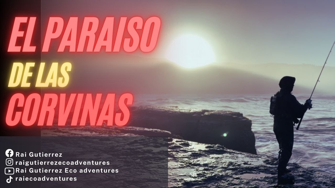 PESCANDO en el PARAÍSO de las CORVINAS