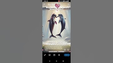 Zoo Quiz Answers [] What animal are you In relationships? [] ZOO TODAY QUIZ [] zoo Quiz