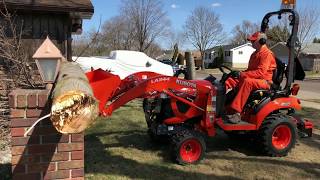 Kubota BX2380 Tree & Stump Removal Kubota BX2380 Tree & Stump Removal