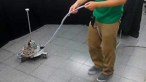 Balance and Tracking Control of a Spherical Inverted Pendulum with an Omnidirectional Mobile Robot