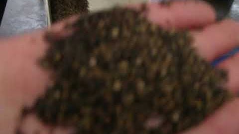 sesame vibrating  sieve machine