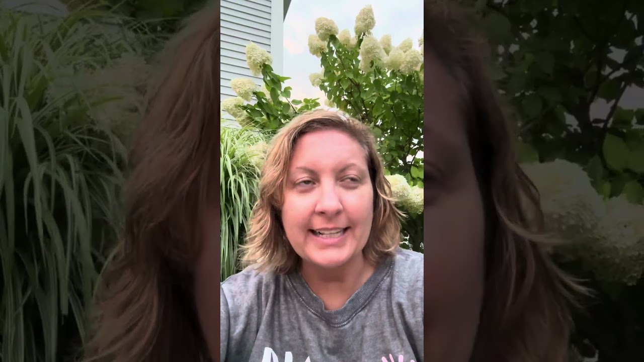 Soulmate contracts: spin off of Bashar….🪽🔄