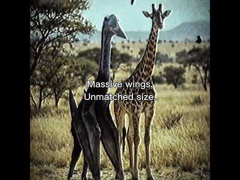 The weirdest pterosaur ever#dinosaur #shorts