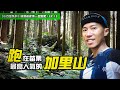 【小百岳中級山-苗栗加里山】和我一起跑完苗栗人氣最旺的山峰｜就跟著彥博一起跑吧 EP13