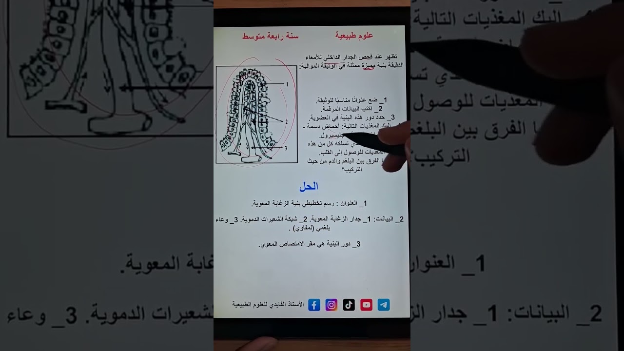 تمرين عن الزغابة المعوية #bem2025