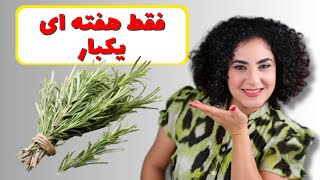 رزماری برای مو جایگزین داروهای ضد ریزش و رشد مجدد مو/موهاتون به طرز عجیبی رشد میکنه