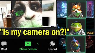 Star Fox Team on a Video Call (Featuring Star Wolf crew & More?!) Skit