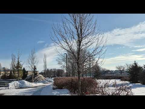 Snow Melting. Goodmorning Canada