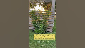 #reels #سورة_الأنعام #الحمدلله #قران_كريم #راحة_نفسية #قرآن #اذا_اعجبك_الفيديو_لا_تنسوا_اللايك