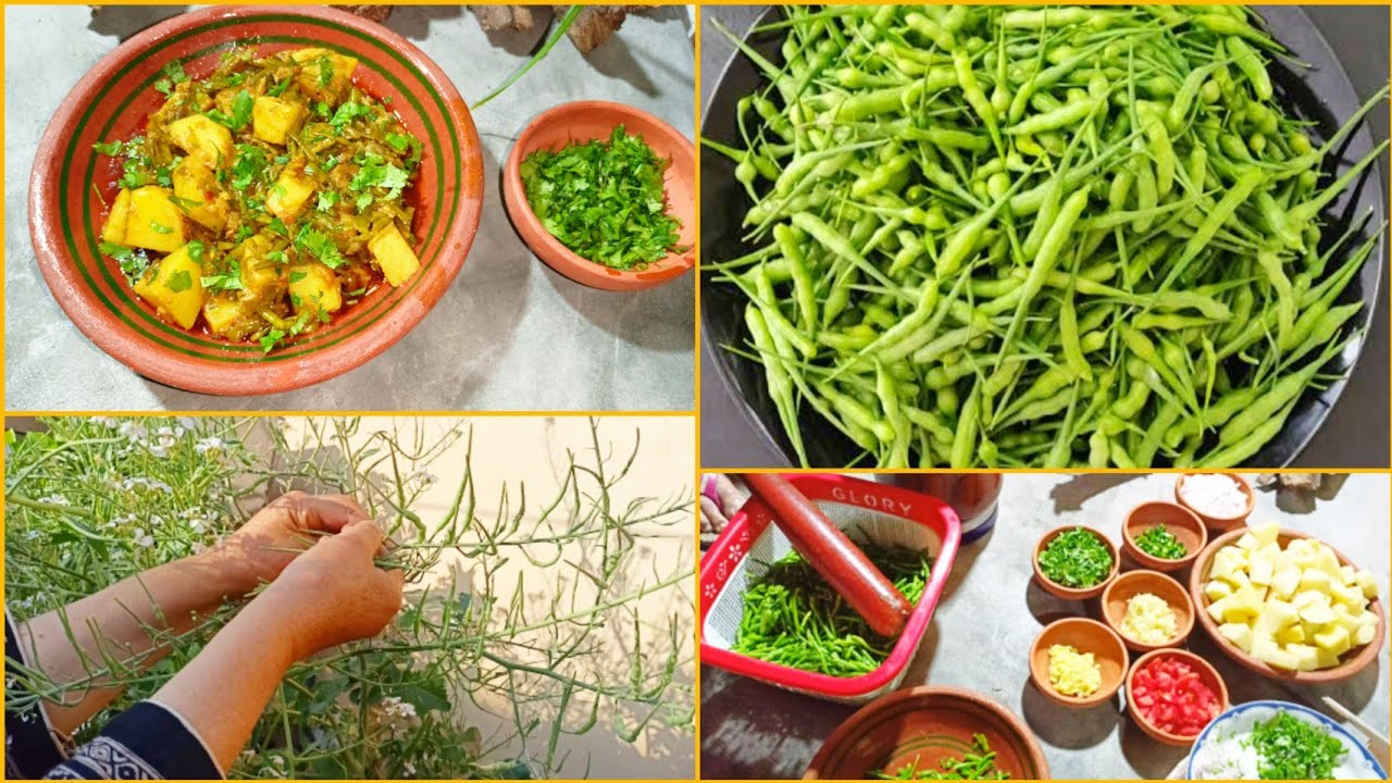 How to cook Radish pods//Aloo mongrey ki sabzi//Shah lifestyle YouTube