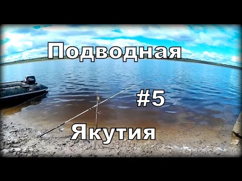 ловля осетра на донную удочку