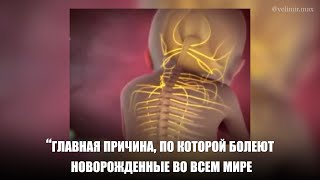 ЗОЛОТОЙ ЧАС Который Может Спасти Вашего Ребенка - Всем будущим мамам обьязательно посмотреть!