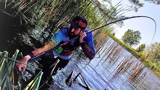 картинка: !!!СЮЮЮДАААА!!! ТРОФЕЙ РОКУ, ЛИН / АМУР / СОМ, БОКОВИЙ КИВОК РУЛИТЬ, Рибалка пушка