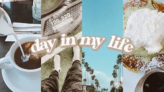 Day In My Life Brunch, Summer Hair Care Routine, Dolphins At The Beach Day & Workout