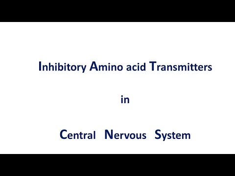CNS-3 Inhibitory Neurotransmitters: GABA & Glycine (BP404T)
