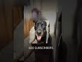 #giveaway 600 Subscriber special #mixtape #bouncingball